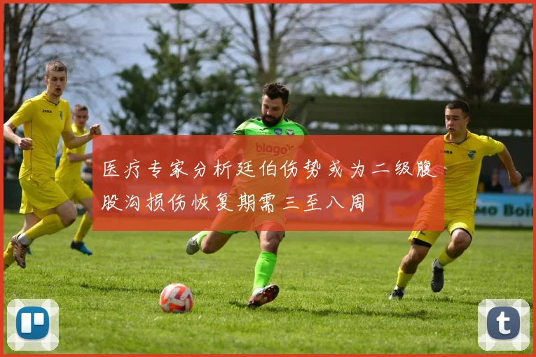 医疗专家分析廷伯伤势或为二级腹股沟损伤恢复期需三至八周